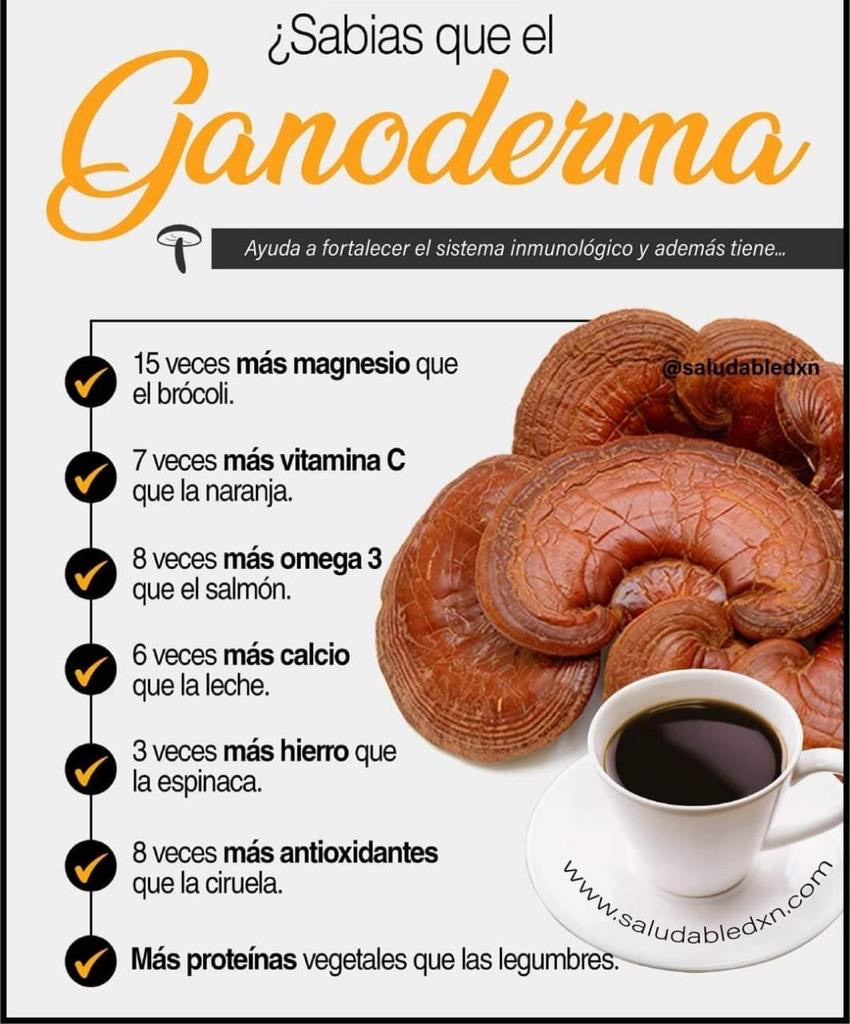 🍄🔥 RG 90 - Ganoderma -reishi gano | Desintoxica, Revitaliza y Fortalece tu Salud 🌿💪