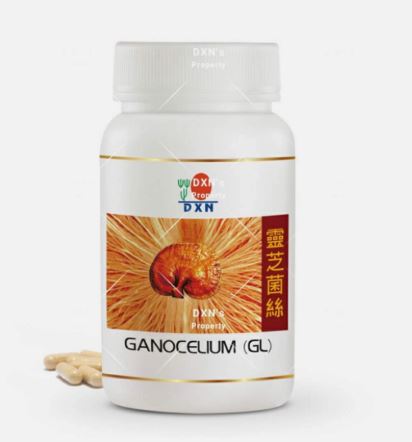 GL-90 GANOCELIUM® DXN 🌿 | Reishi Puro Micelial (90 cáps) | Refuerza Defensas ⚡ Quema Grasa 🔥 Antiaging ✨ | Certificado Eco 🍃