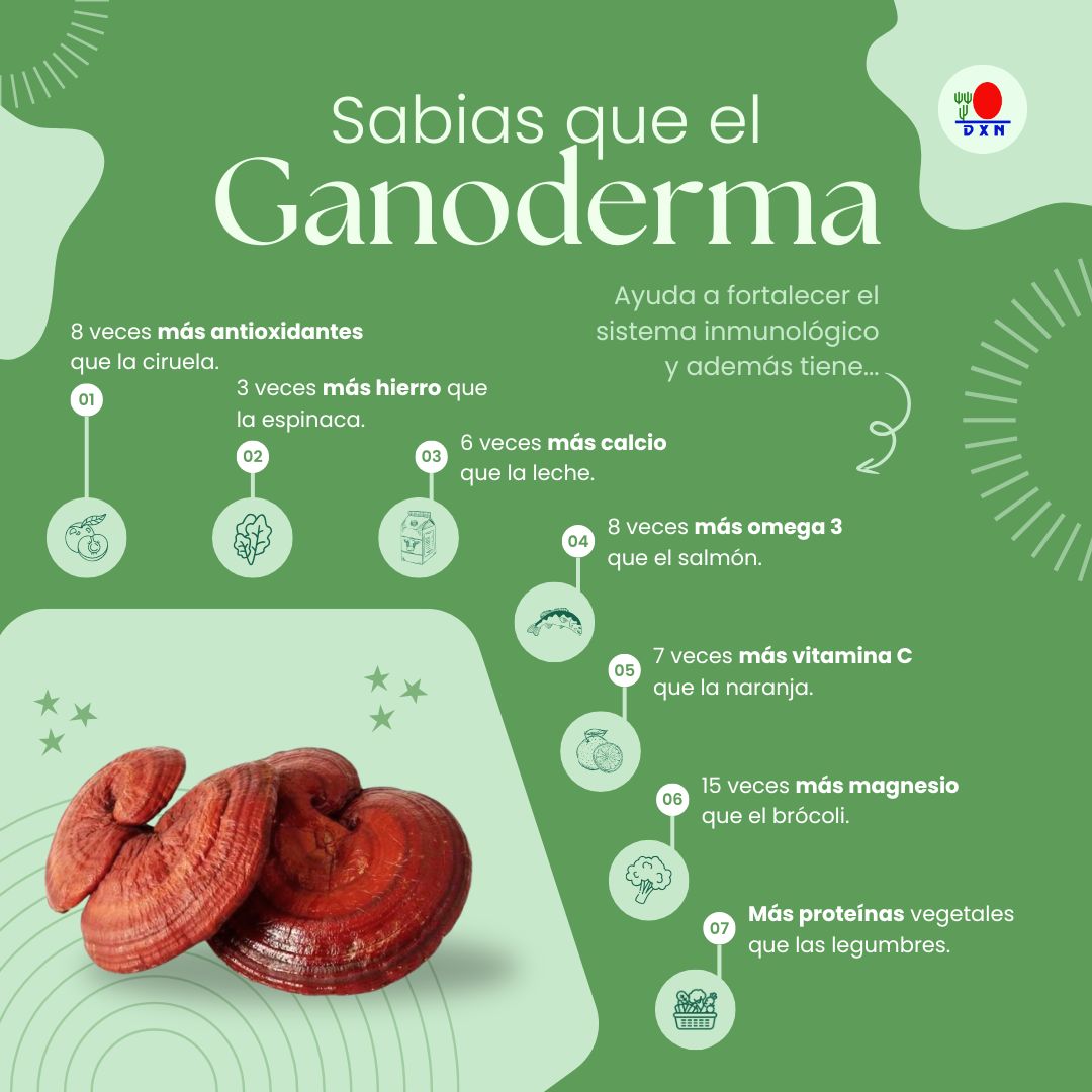 “☕🔥 Café SACIANTE: La Fórmula Natural para ADELGAZAR de Forma Efectiva 💪✨”