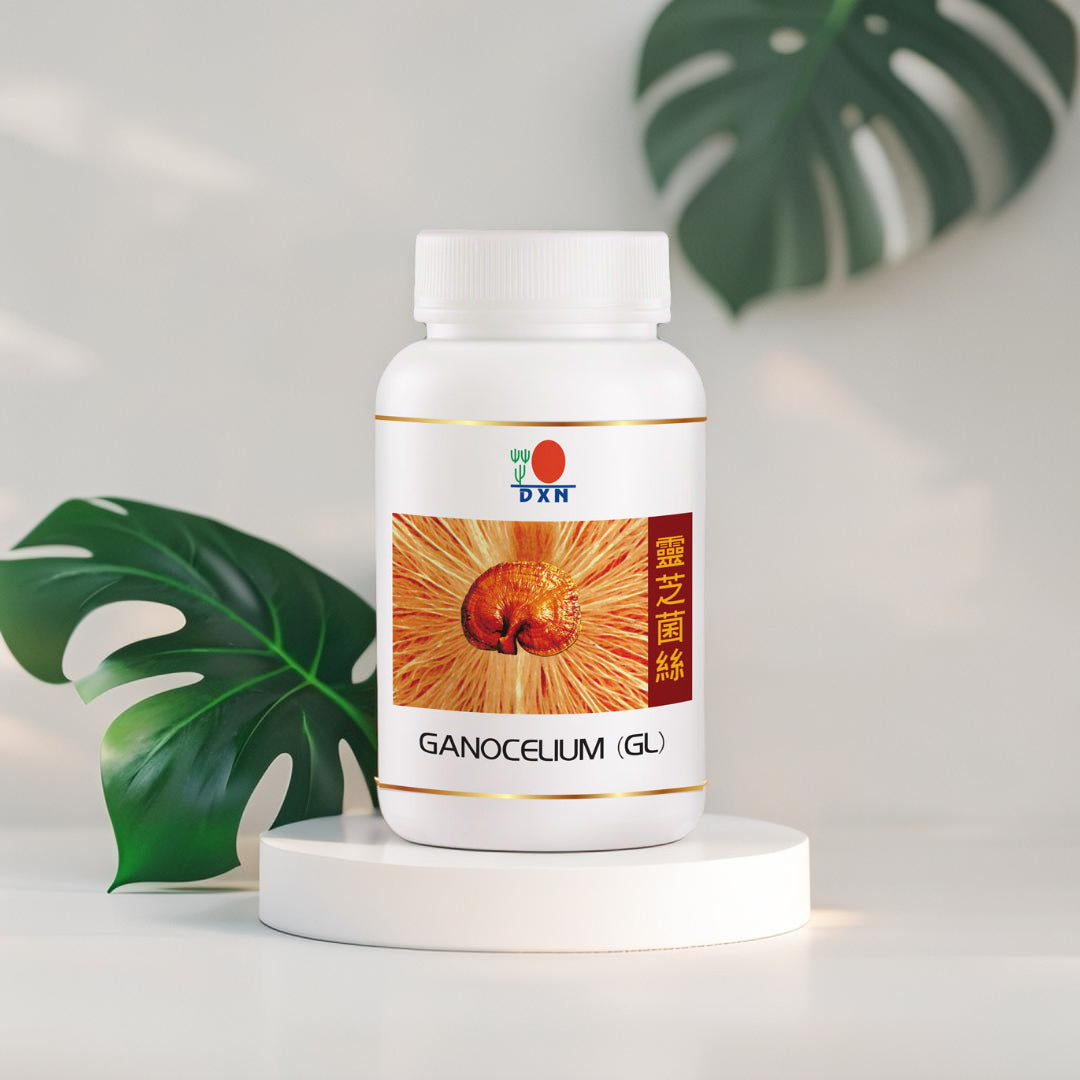 GL-90 GANOCELIUM® DXN 🌿 | Reishi Puro Micelial (90 cáps) | Refuerza Defensas ⚡ Quema Grasa 🔥 Antiaging ✨ | Certificado Eco 🍃