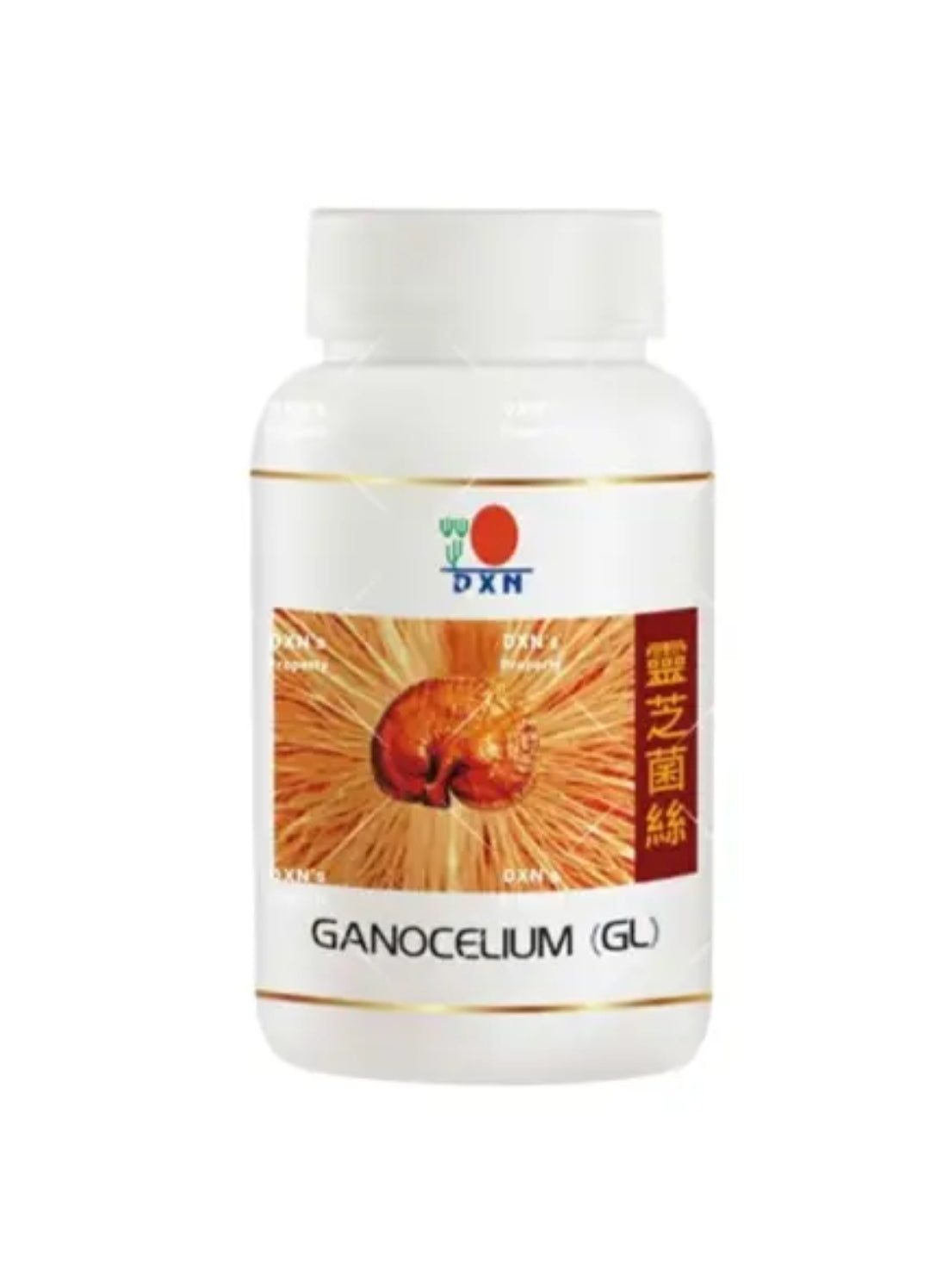 “🌿✨ Pack GANOTERAPIA La Solución Natural para ADELGAZAR y Cuidar tu Salud 🚀🔥”